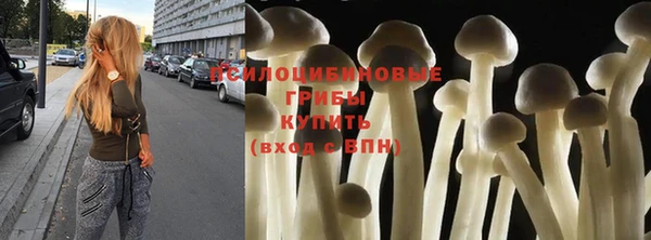 меф Няндома