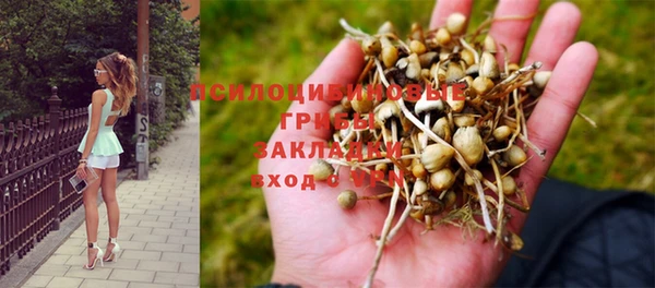 дживик Нягань