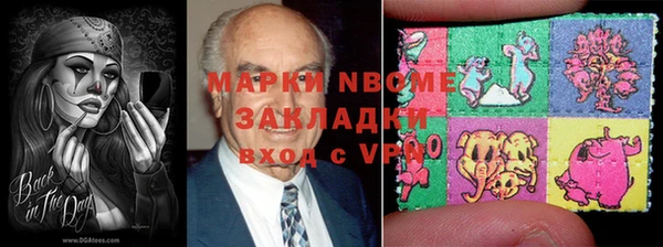 ПСИЛОЦИБИНОВЫЕ ГРИБЫ Осинники