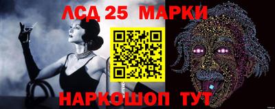 apvp Краснодар