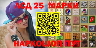 apvp Краснодар
