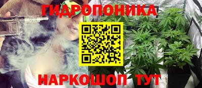 стаф Краснокаменск