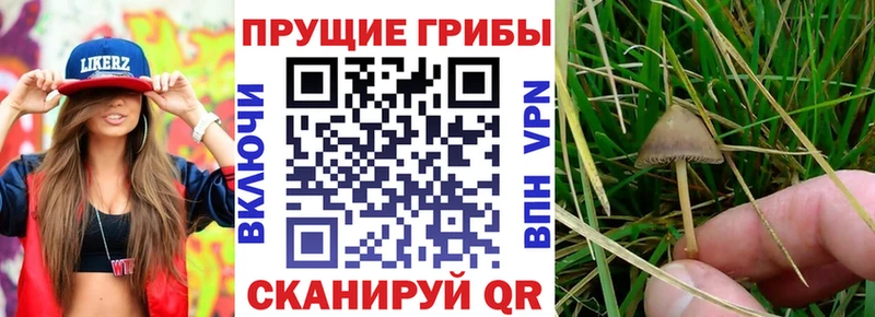 Псилоцибиновые грибы мухоморы  Канск 